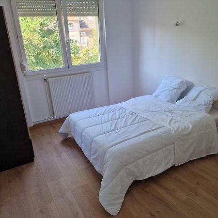 Location Appartement 80M2 A Rombas المظهر الخارجي الصورة